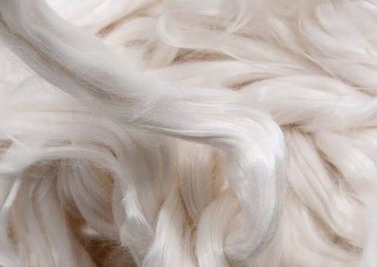 Tencel lyocell fiber close-up